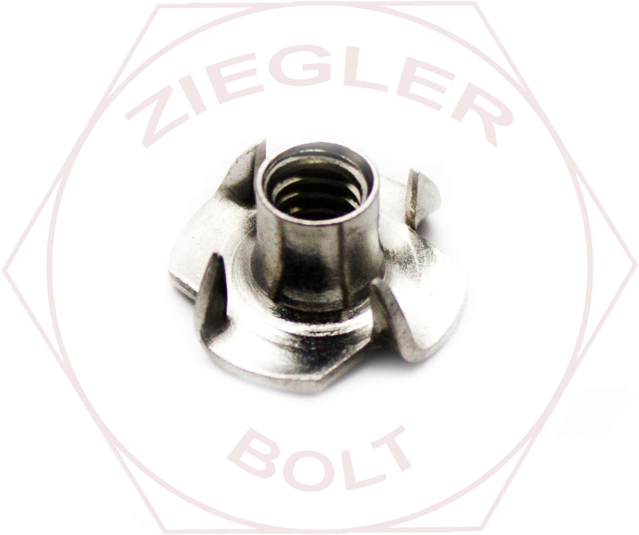 1/4-20 X 5/16 TEE NUT - 4 PRONG 18-8 STAINLESS