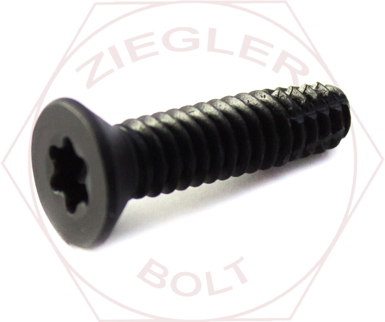 1/4-20 X 1 TORX DRIVE FLOOR BOARD SC TYPE F