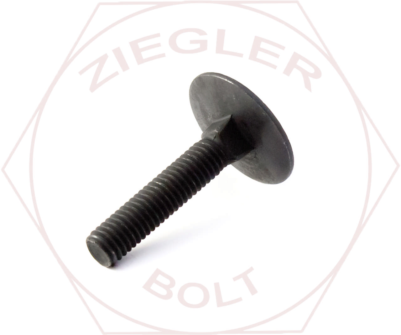 1/4-20 X 1 ELEVATOR BOLT PLAIN