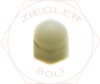 1/4-20 ACORN CAP NUT NYLON