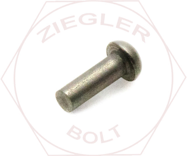 1/8 X 1/4 SOLID ROUND HEAD RIVET 18-8 SS