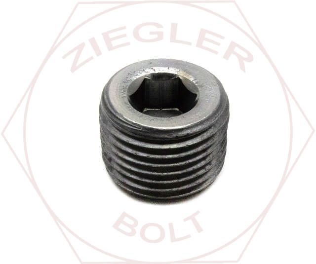 2 SOCKET PIPE PLUG 3/4 TAPER