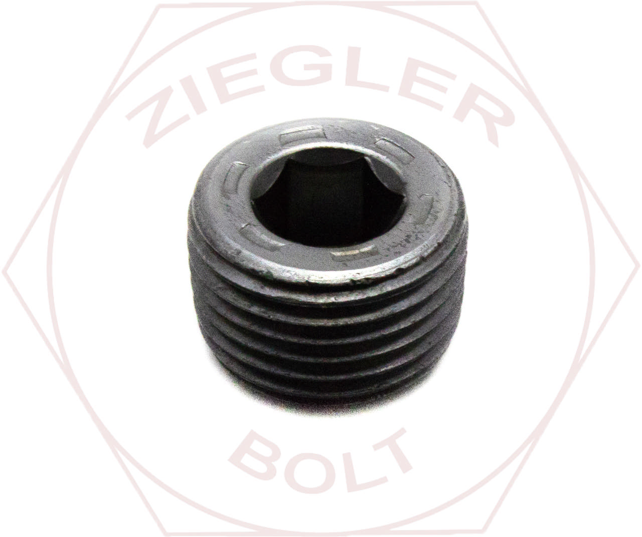 1 SOCKET PIPE PLUG 7/8-FLUSH