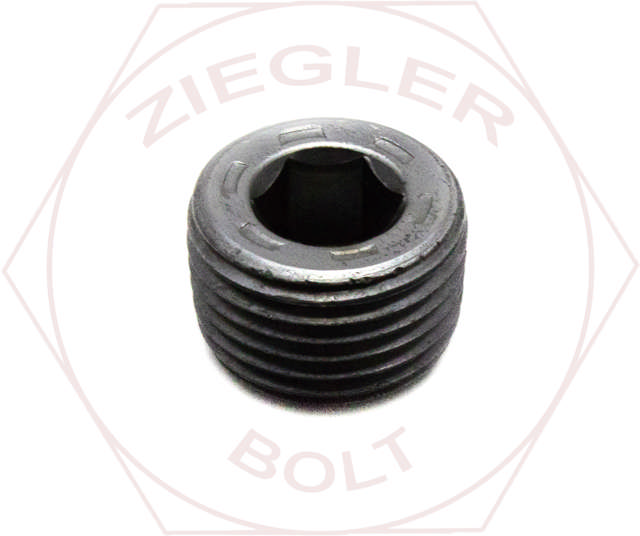 1 SOCKET PIPE PLUG 7/8-FLUSH
