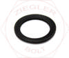 M10 RIBBED LOCK WASHER BN #791 PLAIN