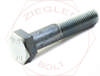 M10-1.25 X 60 HEX CAP SCREW DIN 960 GR 10.9 ZINC