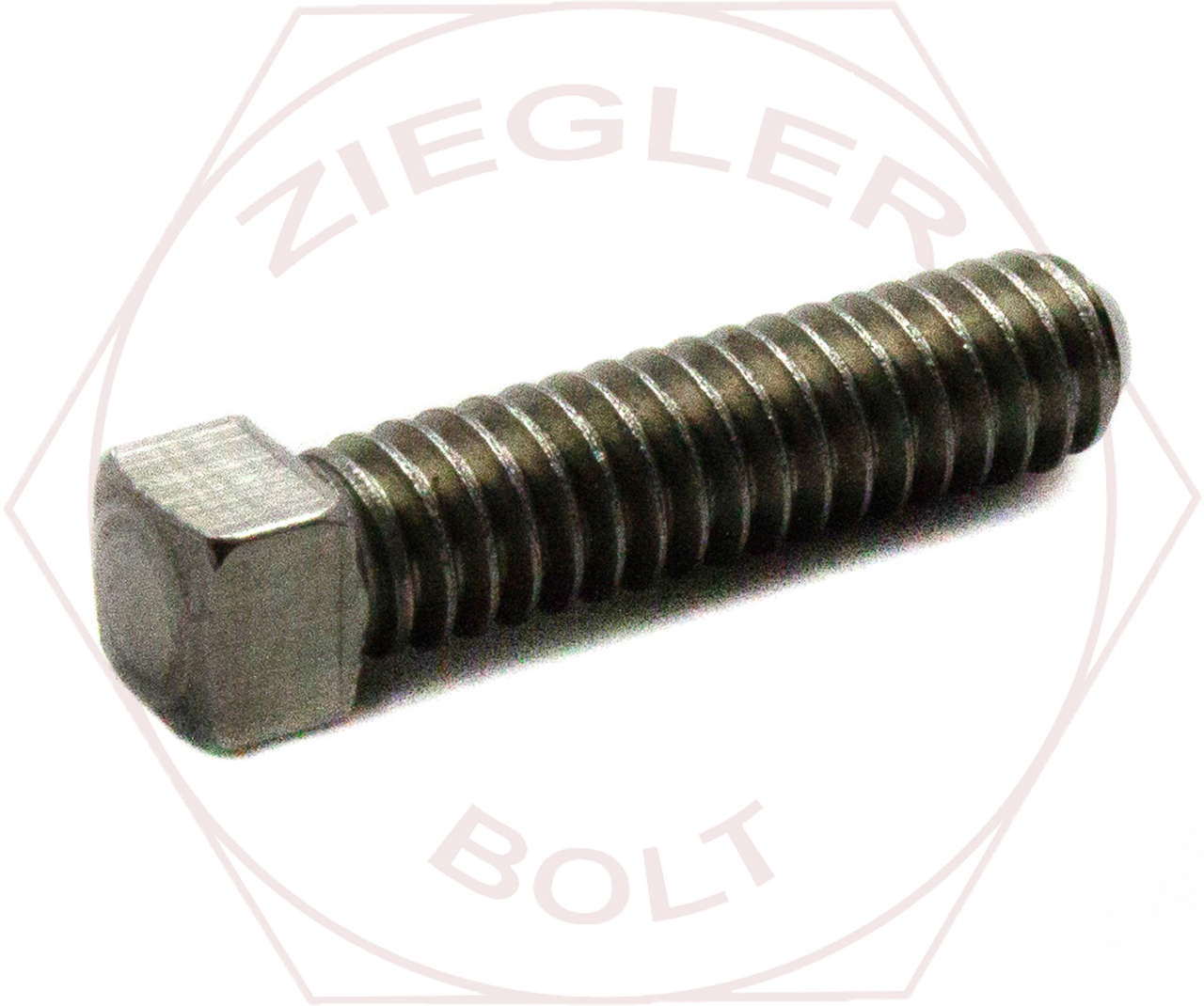 1/4-20 X 1 SQ HD SET CUP PT 18-8 STAINLESS