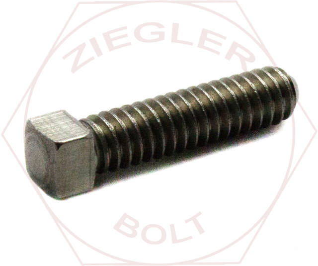 1/4-20 X 1-1/4 SQ HD SET CUP PT 18-8 STAINLESS