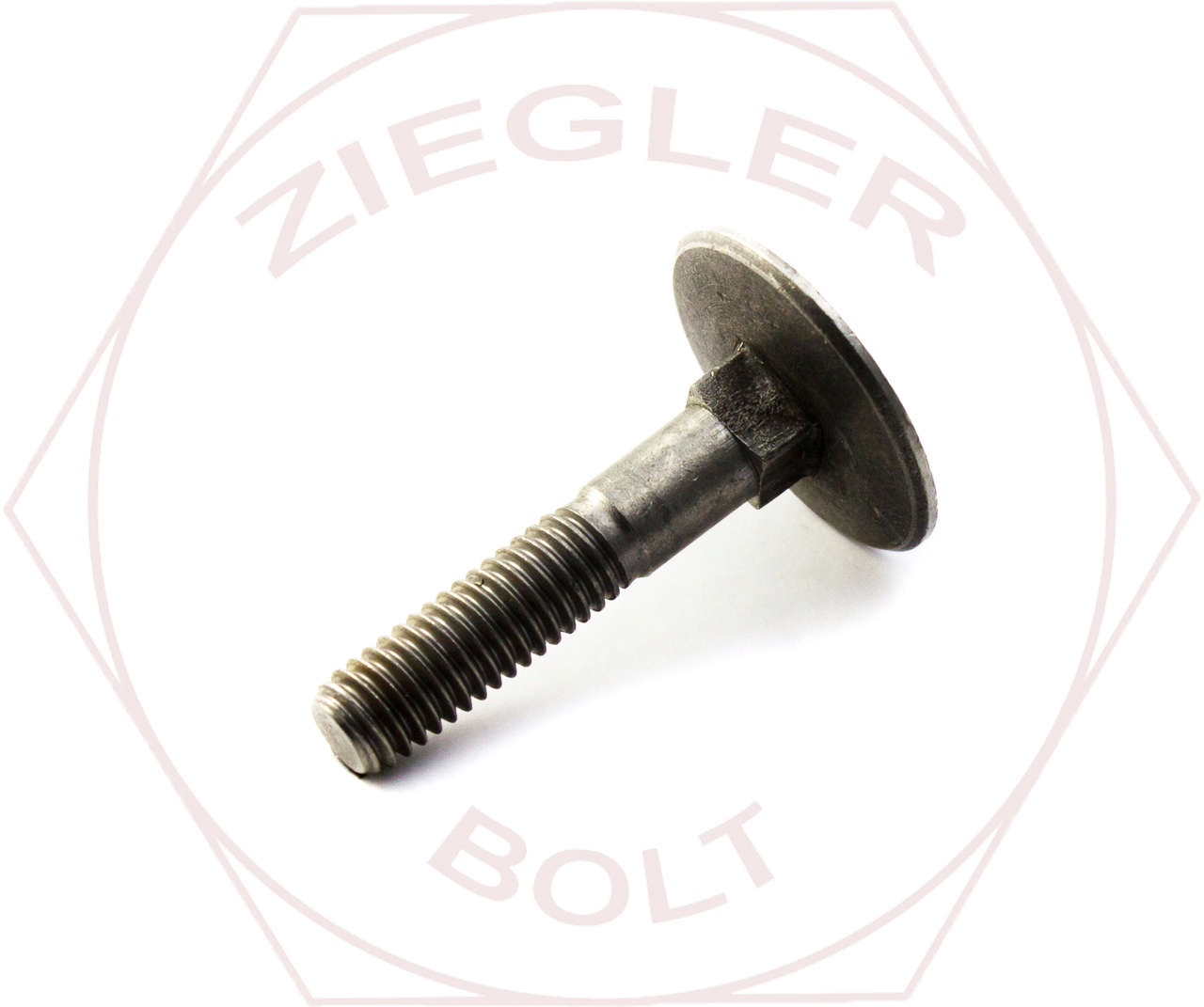 1/4-20 X 1 ELEVATOR BOLT 18-8 STAINLESS