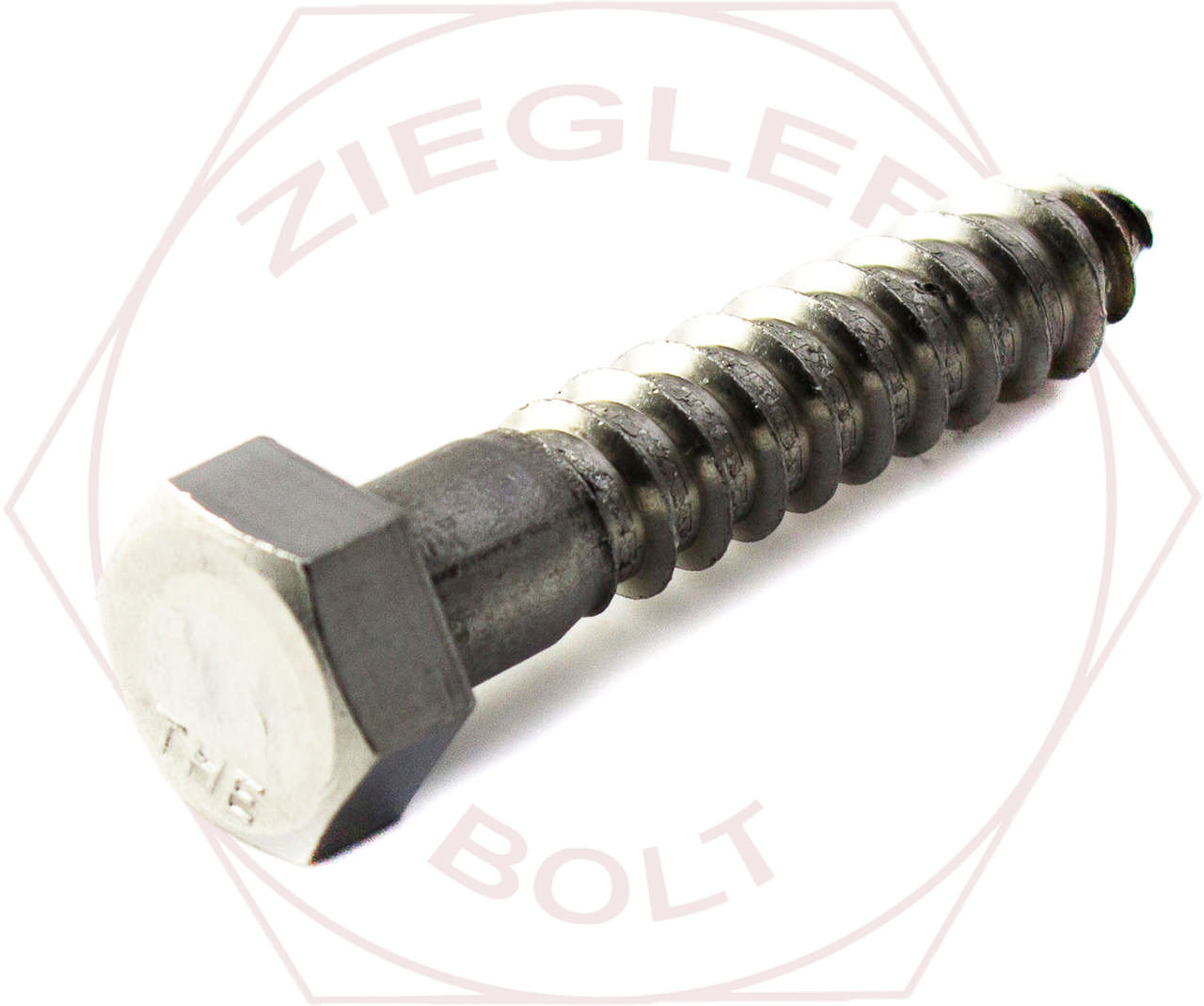 1/4 X 1 HEX LAG BOLT 18-8 STAINLESS