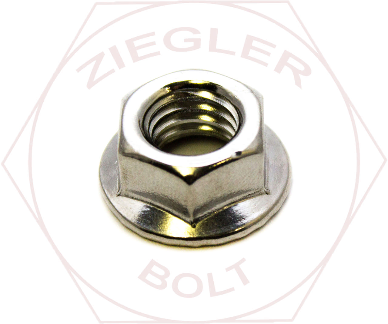 1/4-20 WHIZ FLANGE NUT 18-8 STAINLESS