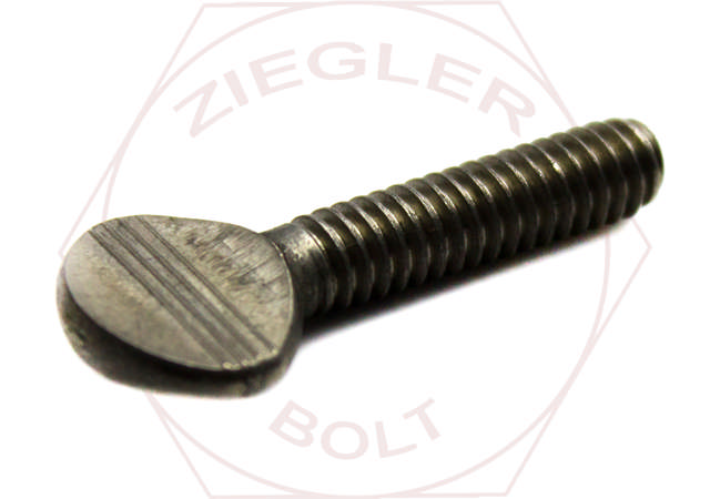 1/4-20 X 1 THUMB SCREW 18-8 STAINLESS
