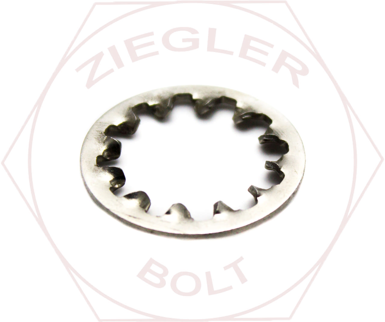 M10 INTERNAL TOOTH LOCKWASERS A2 STAINLESS