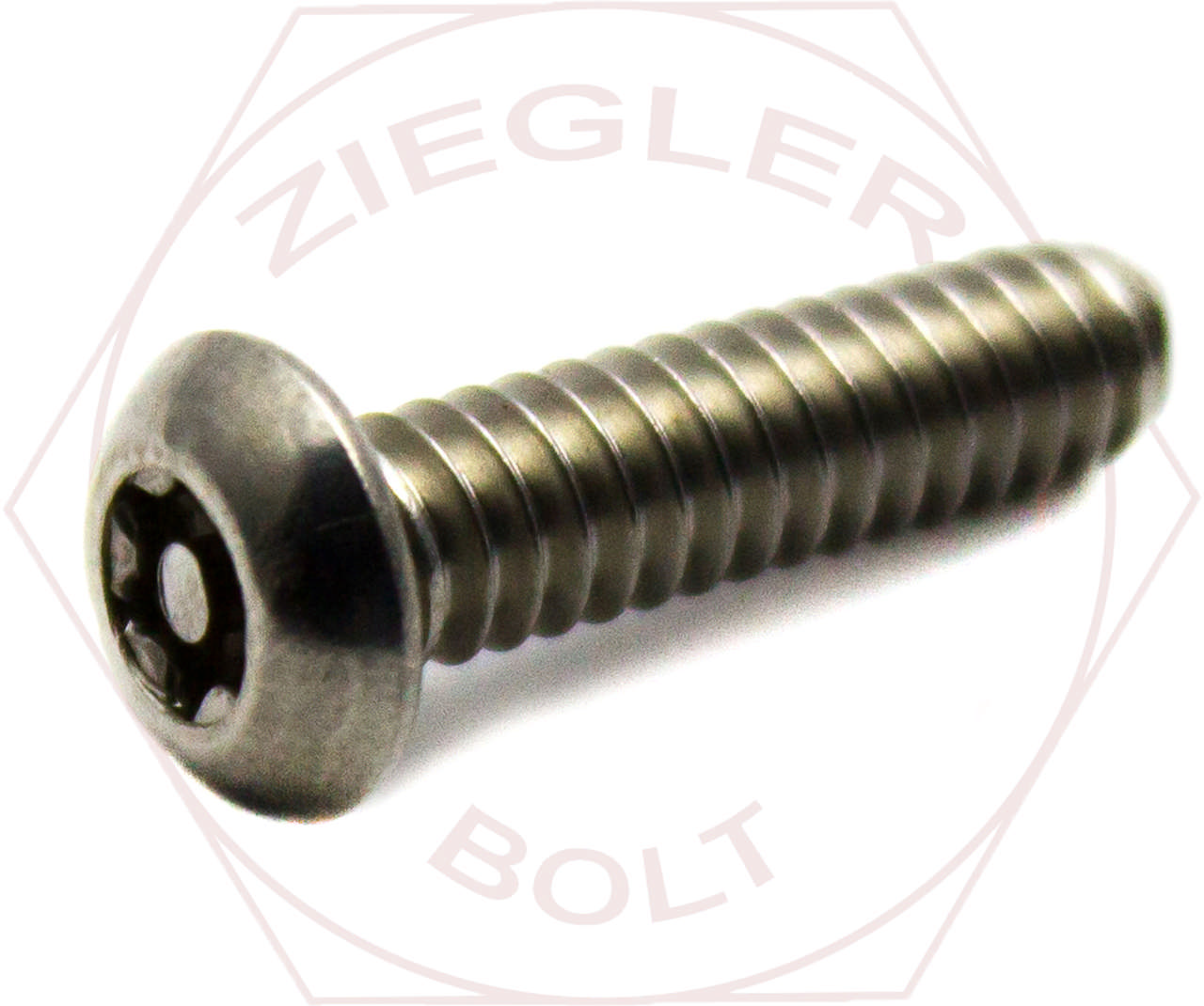 1/4-20 X 1 TORX BUTTON HD M/S W/PIN 18-8 STAINLESS