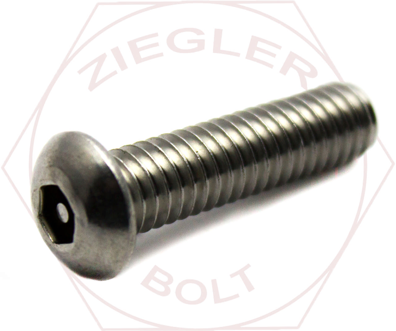 1/4-20 X 1 BUTTON SECURITY SHCS W/PIN 18-8 SS