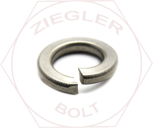 M10 SPLIT LOCK WASHER 127B 316 STAINLESS