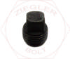 2 SQUARE HD PIPE PLUG BLK IRON