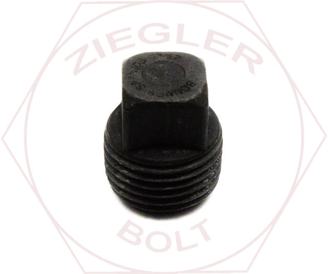1-1/4 SQUARE HD PIPE PLUG IMPORT