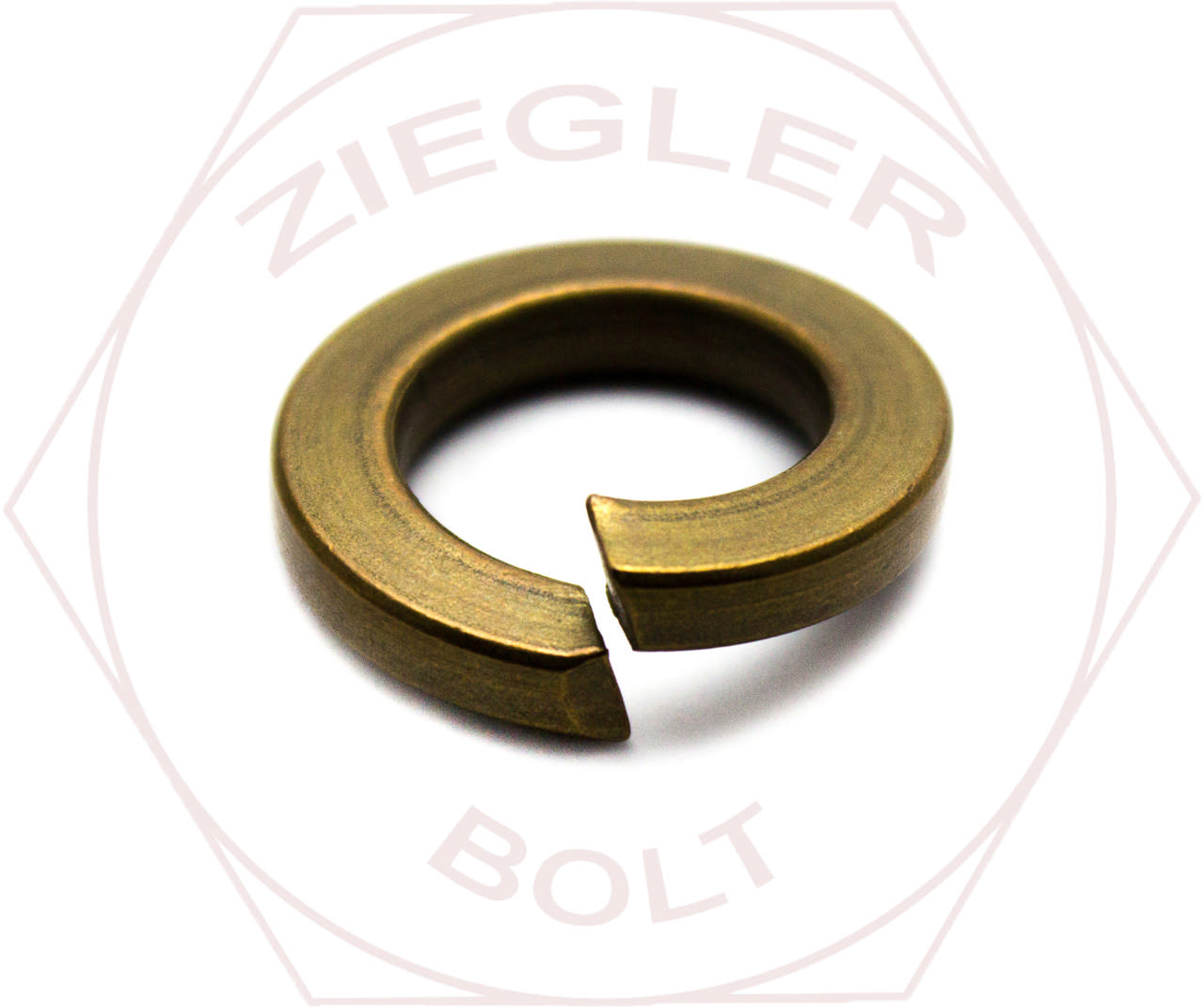 M10 SPLIT LOCK WASHER SIL/BRNZ