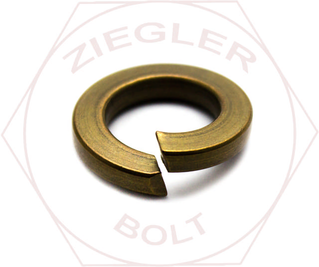 M10 SPLIT LOCK WASHER SIL/BRNZ