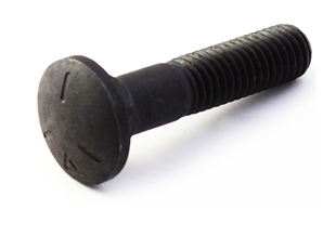 Carriage Bolts