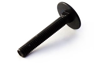 Step Bolts
